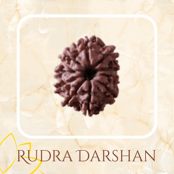 10 mukhi Nepal