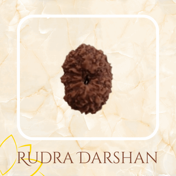 14 mukhi Java