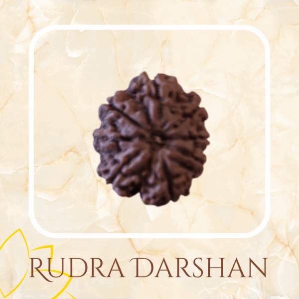 8 mukhi Nepal